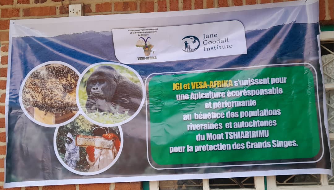 Apiculture écoresponsable autour du Mont Tshiabirimu
