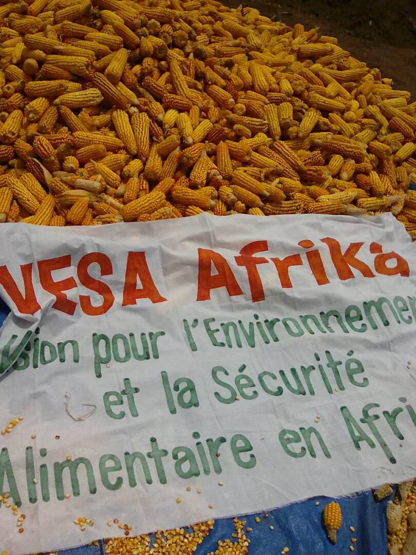 Programme Quinquénal Agropastorale 2016-2020 dans les zones péri-urbaines (au