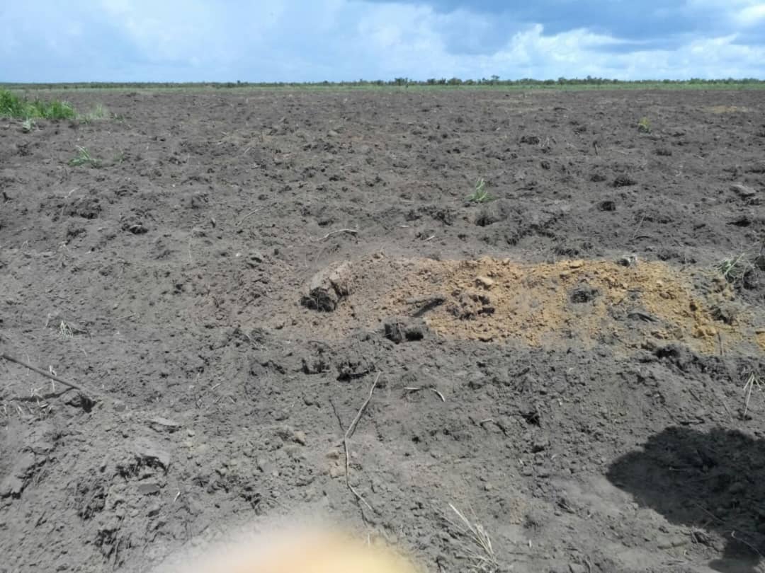 Grâce à la mécanisation VESA Afrika a mis en activité tous ses 42 hectares