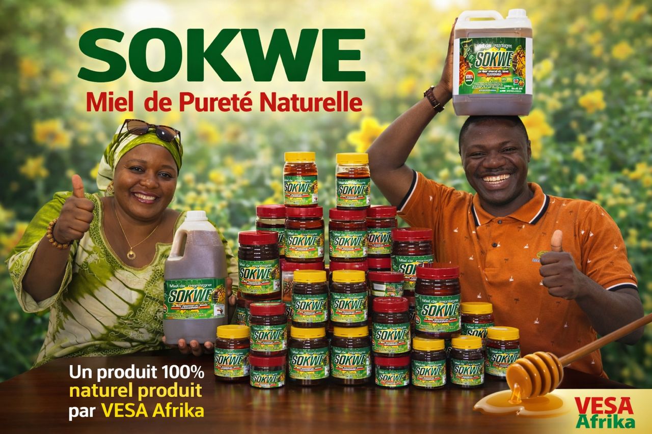 Apiculture, source de revenus pour l'autonomisation économique des ménages, aternative efficace afin de réduire les pressions anthropiques sur l'habitat des gorilles